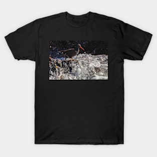 Standing Before the Wave T-Shirt